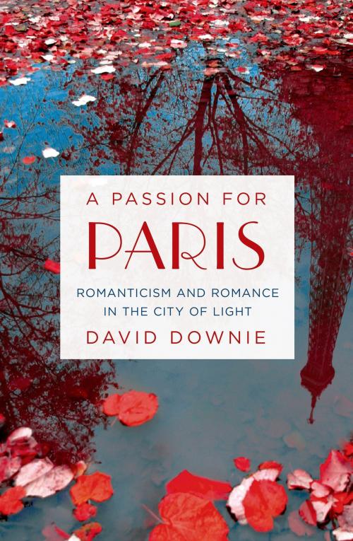 Cover of the book A Passion for Paris by David Downie, St. Martin's Press