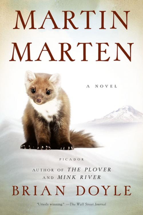 Cover of the book Martin Marten by Brian Doyle, St. Martin's Press