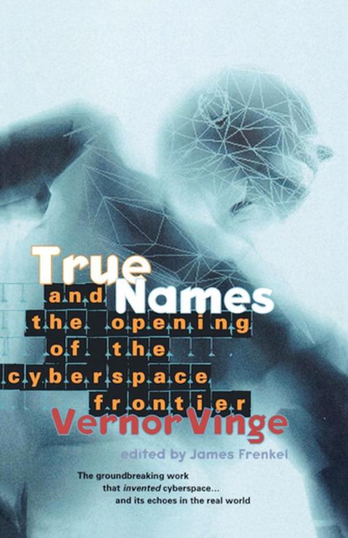 Cover of the book True Names and the Opening of the Cyberspace Frontier by Vernor Vinge, Tom Doherty Associates