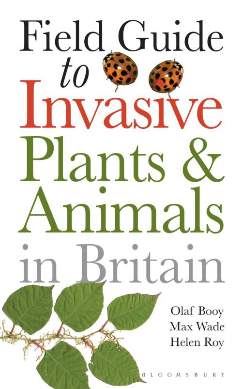 Cover of the book Field Guide to Invasive Plants and Animals in Britain by Olaf Booy, Max Wade, Helen Roy, Bloomsbury Publishing