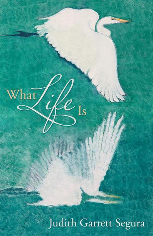 Cover of the book What Life Is by Judith Garrett Segura, Archway Publishing