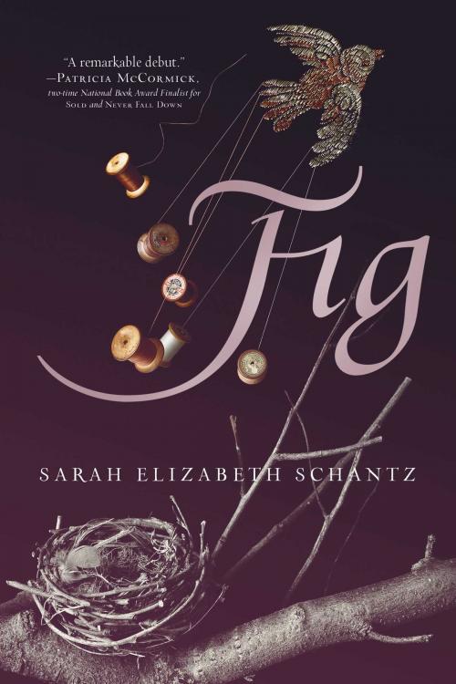 Cover of the book Fig by Sarah Elizabeth Schantz, Margaret K. McElderry Books