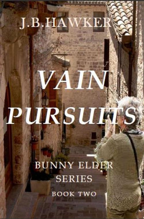 Cover of the book Vain Pursuits by J.B. Hawker, J.B. Hawker