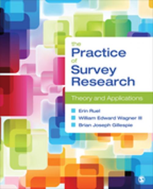 Cover of the book The Practice of Survey Research by Dr. William E. Wagner, Brian Joseph Gillespie, Professor Erin Ruel, SAGE Publications