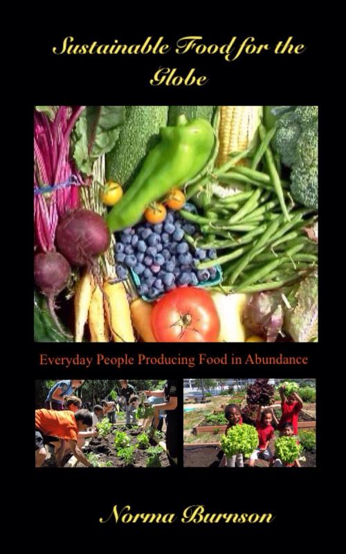 Cover of the book Sustainable Food for the Globe by Norma Burnson, BookBaby