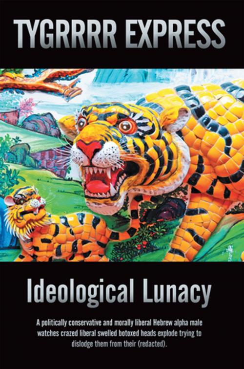 Cover of the book Ideological Lunacy by Eric aka the TYGRRRR EXPRESS, iUniverse