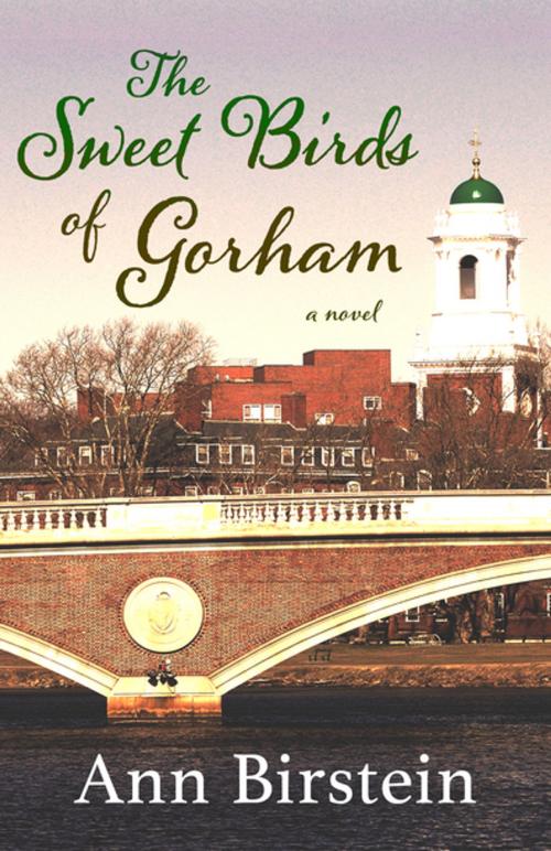 Cover of the book The Sweet Birds of Gorham by Ann Birstein, Open Road Distribution