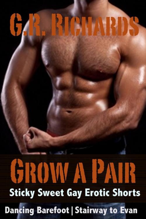 Cover of the book Grow A Pair: Sticky Sweet Gay Erotic Shorts by G.R. Richards, Great Gay Fiction