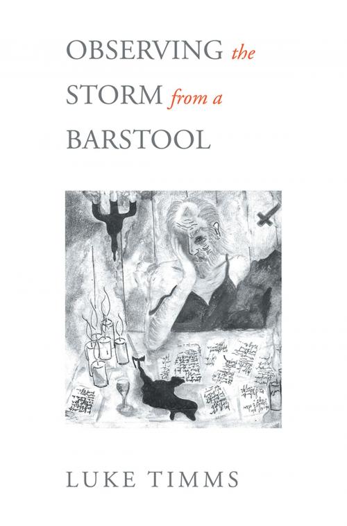 Cover of the book Observing the Storm from a Barstool by Luke Timms, Xlibris AU