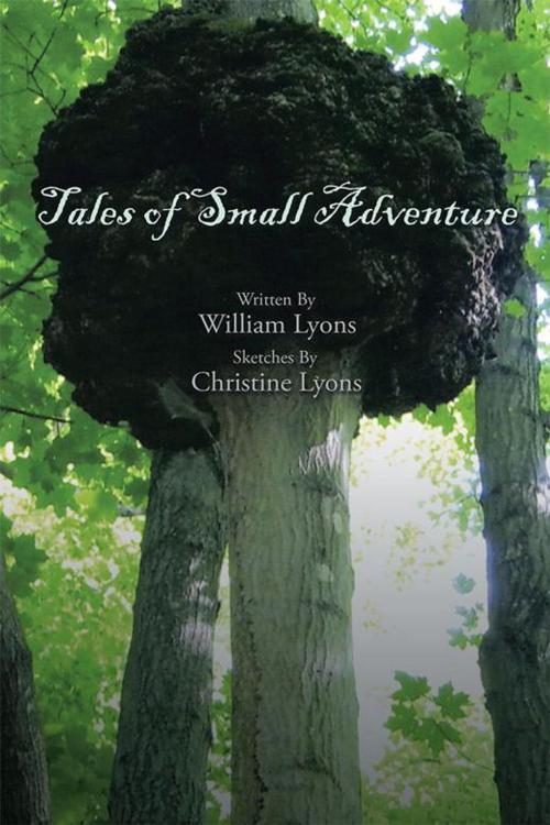 Cover of the book Tales of Small Adventure by William Lyons, Xlibris US