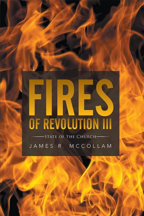 Cover of the book Fires of Revolution Iii by James R. Mccollam, Xlibris US