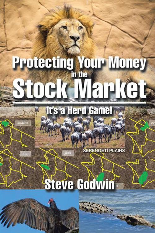 Cover of the book Protecting Your Money in the Stock Market by Steve Godwin, Xlibris US
