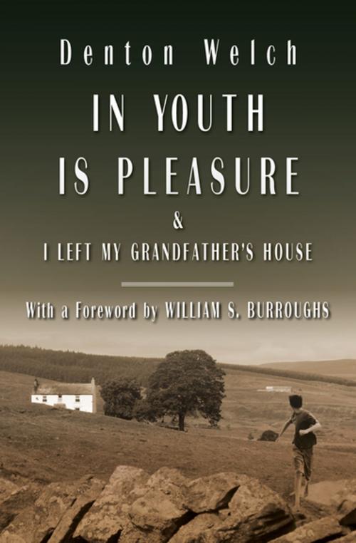 Cover of the book In Youth Is Pleasure by Denton Welch, Open Road Media