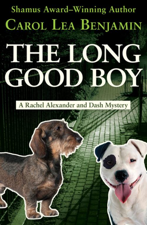 Cover of the book The Long Good Boy by Carol Lea Benjamin, Open Road Media