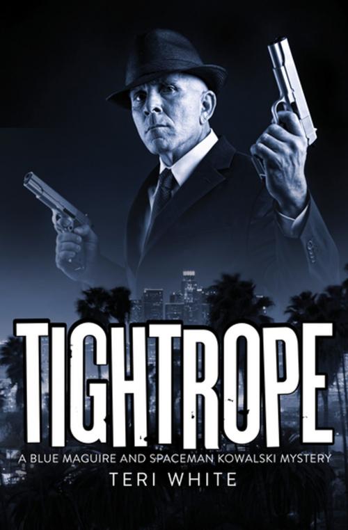 Cover of the book Tightrope by Teri White, MysteriousPress.com/Open Road