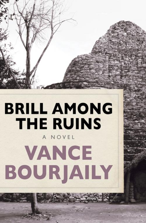 Cover of the book Brill Among the Ruins by Vance Bourjaily, Open Road Media