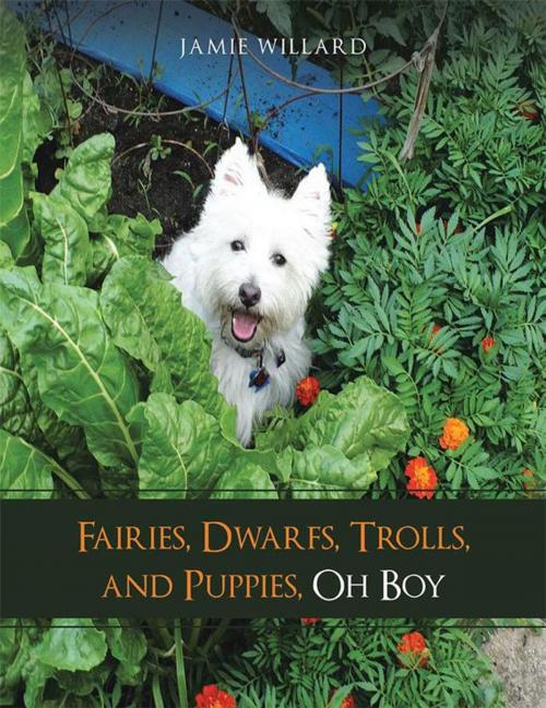 Cover of the book Fairies, Dwarfs, Trolls, and Puppies, Oh Boy by Jamie Willard, Balboa Press