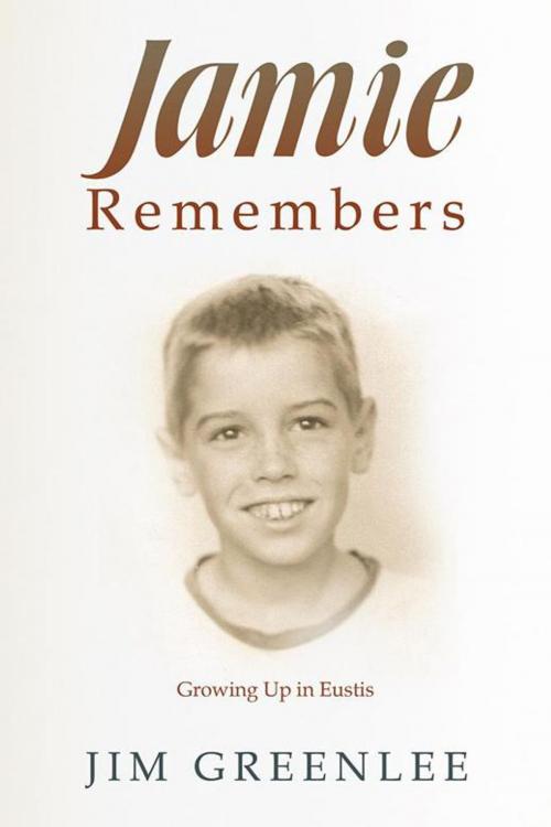 Cover of the book Jamie Remembers by Jim Greenlee, AuthorHouse