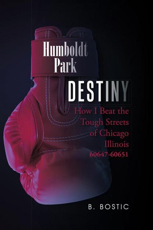 Cover of the book Destiny by B. Bostic, AuthorHouse