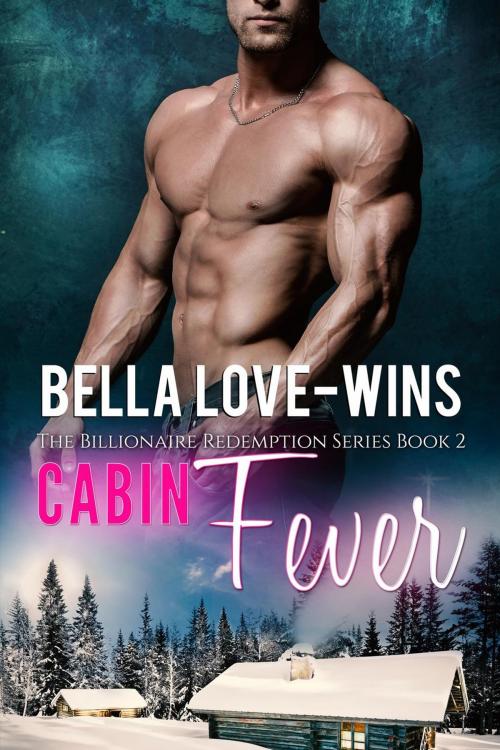 Cover of the book Cabin Fever by Bella Love-Wins, Bella Love-Wins Books