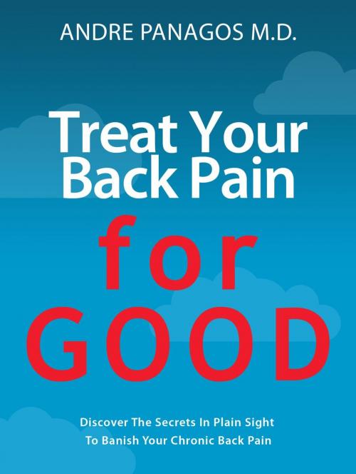 Cover of the book Treat Your Back Pain For Good by Andre Panagos, Second Avenue Press