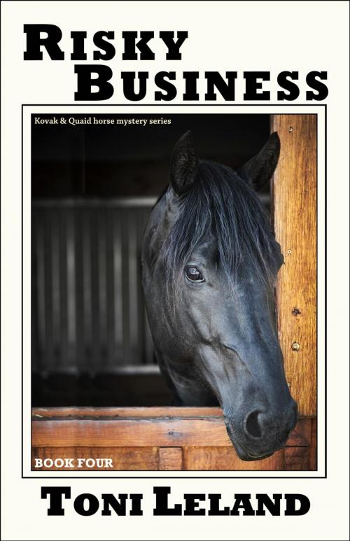 Cover of the book Risky Business by Toni Leland, Equine Graphics Publishing Group/Parallel Press