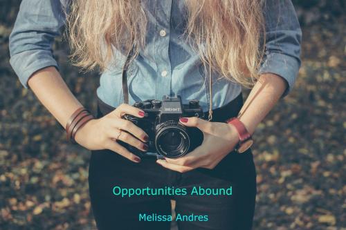 Cover of the book Opportunities Abound by Melissa Andres, Melissa Andres