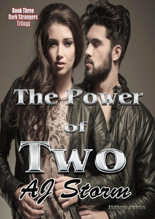 Cover of the book The Power of Two by AJ Storm, Bitten Press LLC
