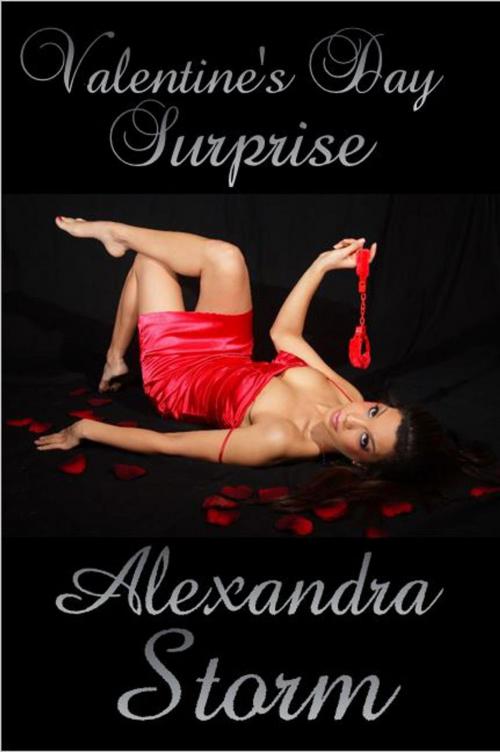 Cover of the book Valentine's Day Surprise by Alexandra Storm, Alexandra Storm