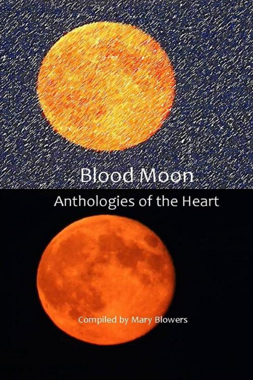 Cover of the book Blood Moon by Mary Blowers, Mary Blowers