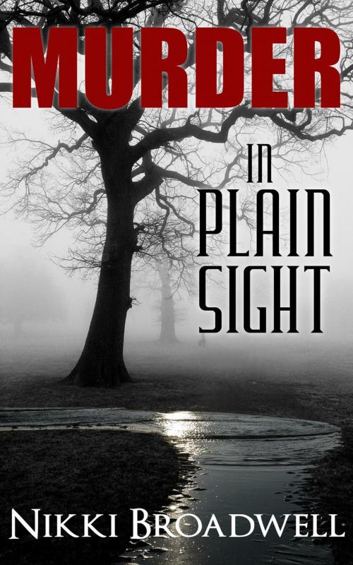Cover of the book Murder in Plain Sight by nikki broadwell, Airmid Publishing