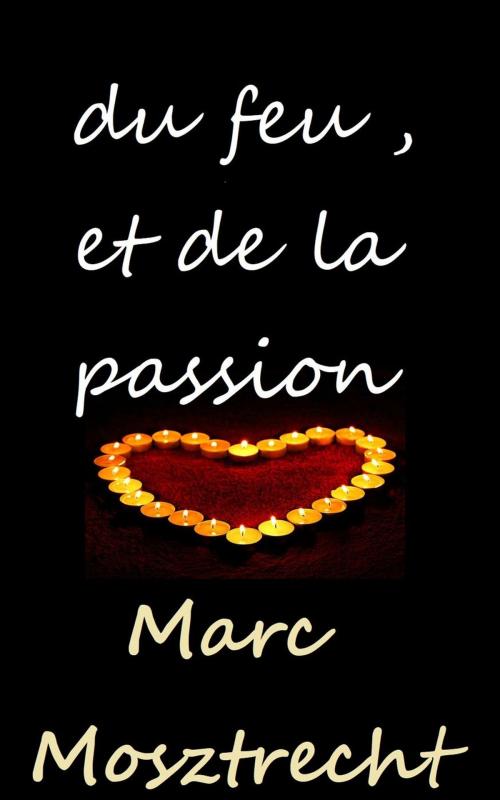 Cover of the book Du Feu Et De La Passion by Marc Mosztrecht, Marc Mosztrecht