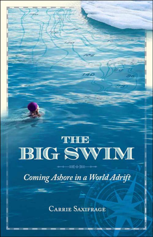 Cover of the book The Big Swim by Carrie Saxifrage, New Society Publishers