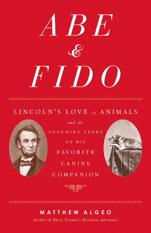 Cover of the book Abe & Fido by Matthew Algeo, Chicago Review Press