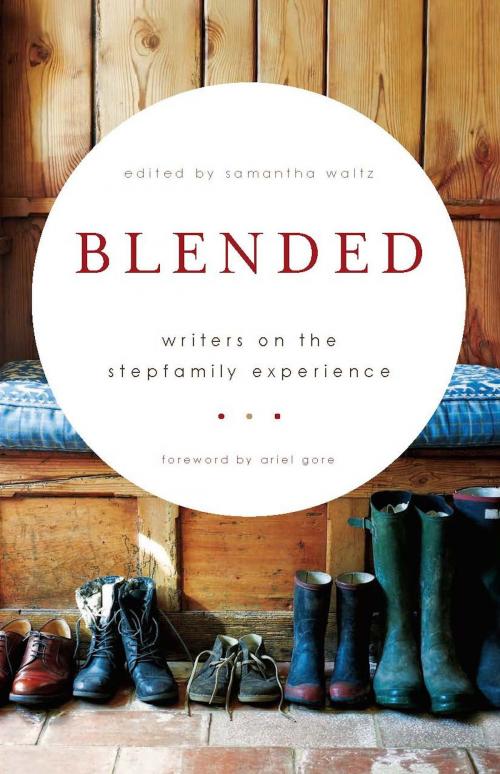 Cover of the book Blended by , Basic Books