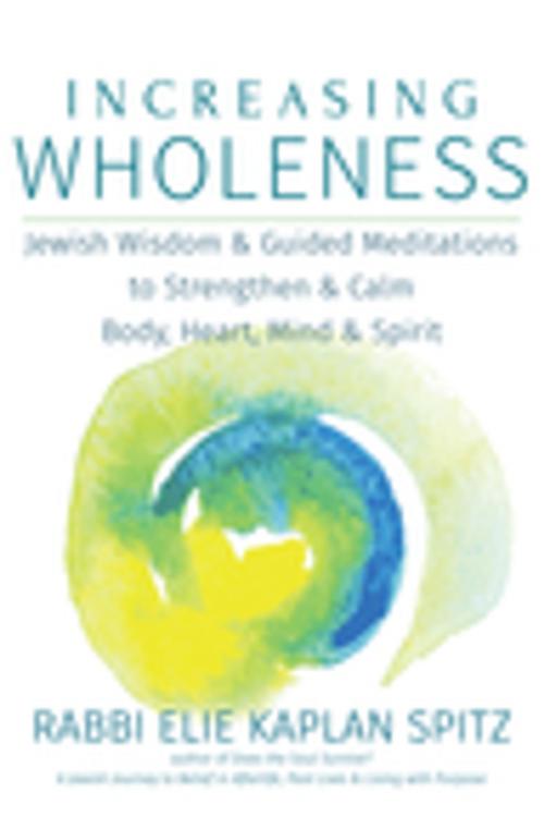 Cover of the book Increasing Wholeness by Rabbi Elie Kaplan Spitz, Turner Publishing Company