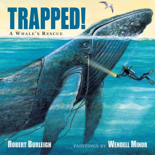 Cover of the book Trapped! A Whale's Rescue by Robert Burleigh, Charlesbridge