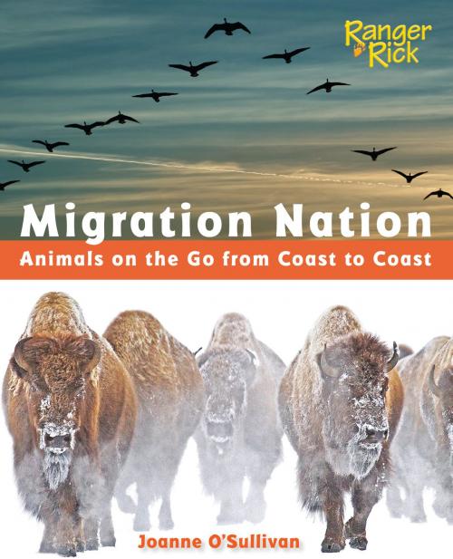 Cover of the book Migration Nation (National Wildlife Federation) by Joanne O'Sullivan, Charlesbridge