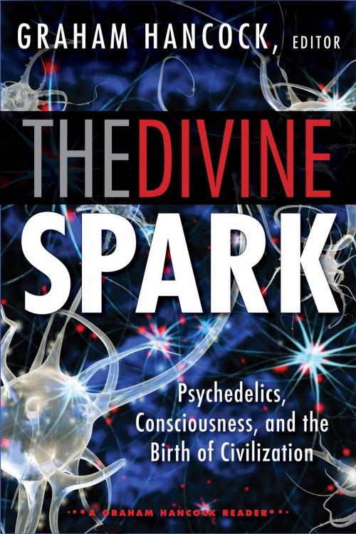 Cover of the book The Divine Spark: A Graham Hancock Reader by , Red Wheel Weiser