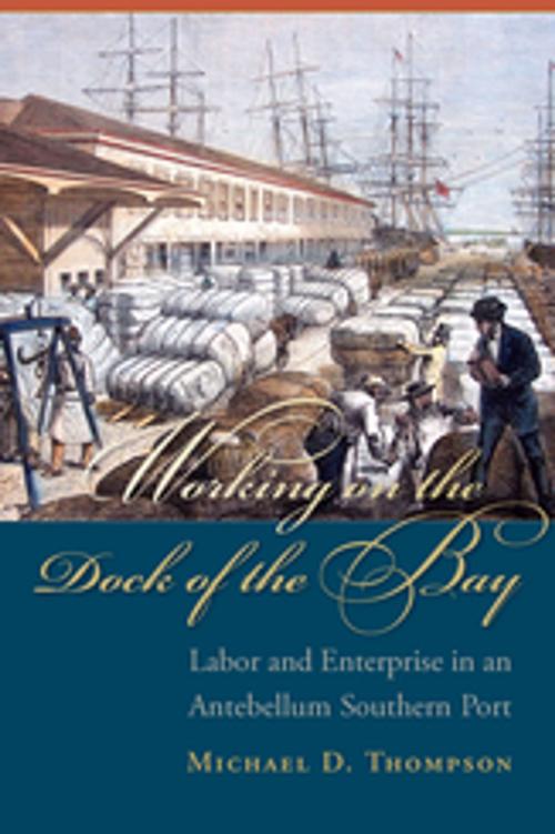Cover of the book Working on the Dock of the Bay by Michael D. Thompson, University of South Carolina Press