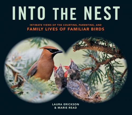 Cover of the book Into the Nest by Laura Erickson, Marie Read, Storey Publishing, LLC