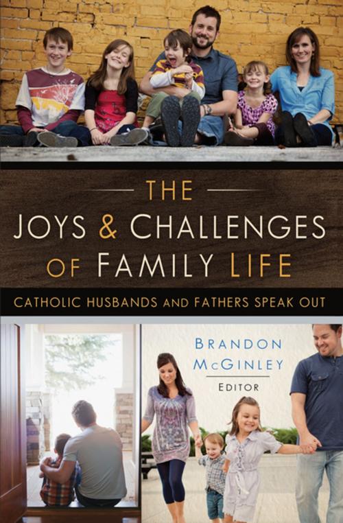Cover of the book The Joys and Challenges of Family Life by , Our Sunday Visitor