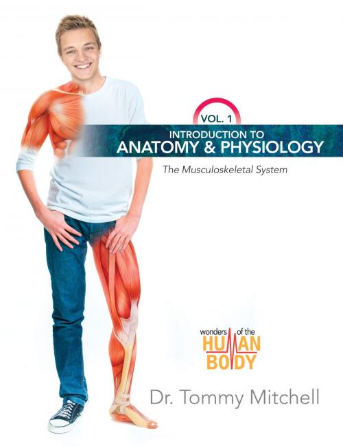Cover of the book Introduction to Anatomy & Physiology: The Musculoskeletal System Vol 1 by Dr. Tommy Mitchell, New Leaf Publishing Group, Inc.