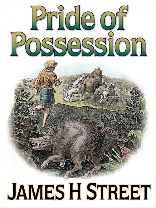 Cover of the book Pride of Possession by James H Street, eNet Press Inc.