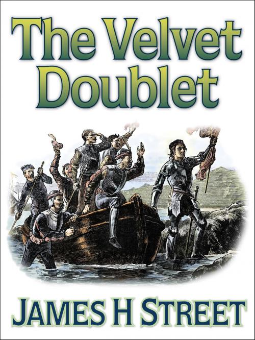 Cover of the book The Velvet Doublet by James H Street, eNet Press Inc.