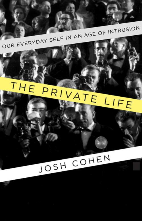 Cover of the book The Private Life by Josh Cohen, Counterpoint
