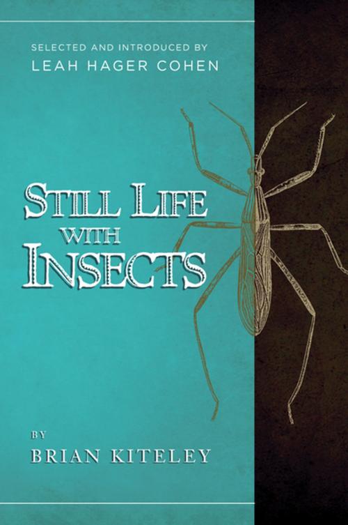 Cover of the book Still Life with Insects by Brian Kiteley, Counterpoint