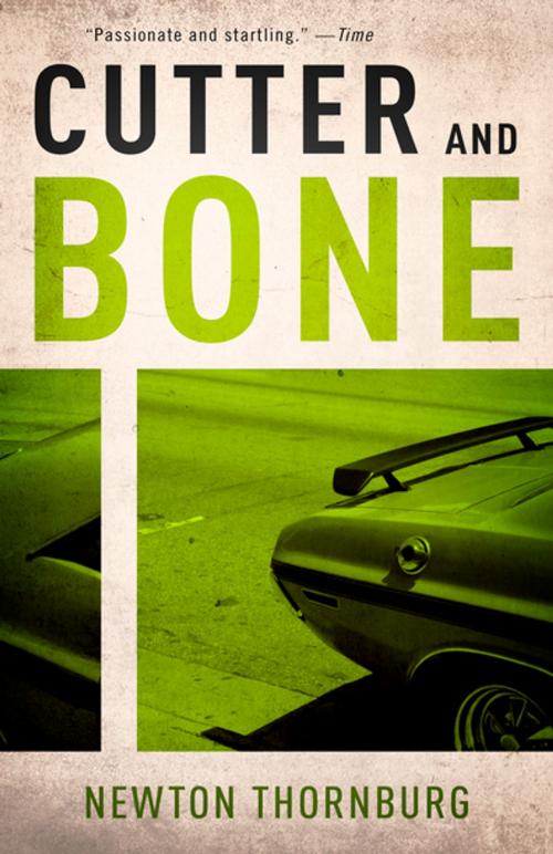 Cover of the book Cutter and Bone by Newton Thornburg, Diversion Books