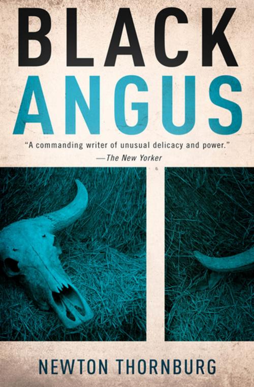 Cover of the book Black Angus by Newton Thornburg, Diversion Books