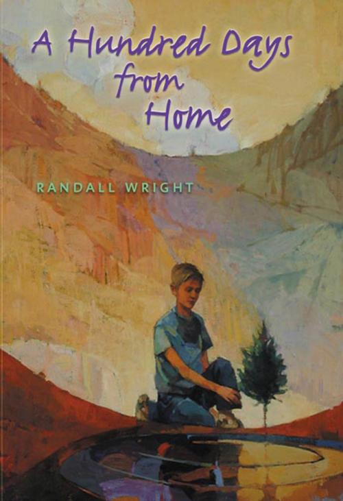 Cover of the book A Hundred Days from Home by Randall Wright, Henry Holt and Co. (BYR)